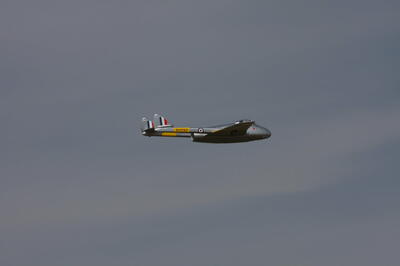 IMG 5919